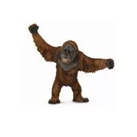 Kliknite za detalje - Collecta Divlje Životinje Orangutan CT88730