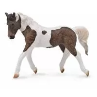 Kliknite za detalje - Collecta Domaće Životinje Curly Mare Pastuv CT88780