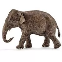 Kliknite za detalje - Schleich Figurice Divlje životinje - Azijski slon - ženka -14753