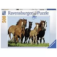 Kliknite za detalje - Ravensburger puzzle Životinje - Konji - Horde of horses 500 delova RA14717