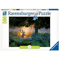 Kliknite za detalje - Ravensburger puzzle Nature Edition No7 - Magical Light 500 delova RA14719