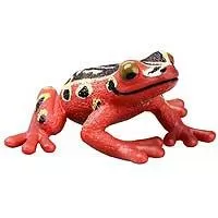Kliknite za detalje - Schleich Figure Divlje životinje - Afrička crvena žaba 14760