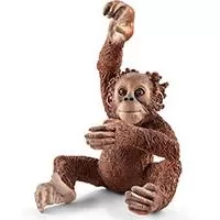 Kliknite za detalje - Schleich Figure Divlje životinje - Majmun orangutan - mladunče 14776