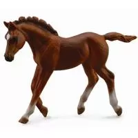 Kliknite za detalje - Collecta figura Čistokrvno ždrebe u hodu CT88670