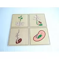 Kliknite za detalje - Montesori - botaničke puzzle ATB0199