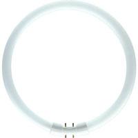 Fluo sijalica kružna Philips Master 60W/830 PS075