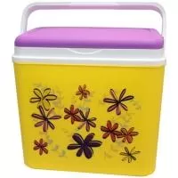 Kliknite za detalje - Piknik frižider 8805 Multikolor Fiori 24L 