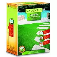 Kliknite za detalje - Trava - seme Valentin Sunny 1kg - za osunčane travnjake