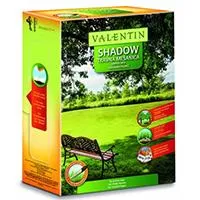 Kliknite za detalje - Trava - seme Valentin Shadow 1kg - za senovit travnjak
