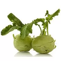 Kliknite za detalje - Seme za povrće - Keleraba dunavska bela -  Brassica oleracea L. var. gongylodes 136