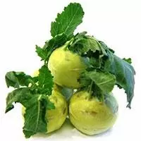 Kliknite za detalje - Seme za povrće - Keleraba žuta puterica -  Brassica oleracea L. var. gongylodes 161