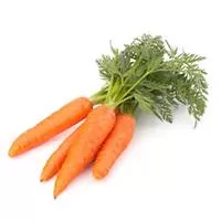 Kliknite za detalje - Seme za povrće - Šargarepa Nantes - Daucus carota L. 189