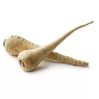 Kliknite za detalje - Seme - Paškanat dugi beli glatki - Pastinaca sativa L. 272