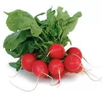 Kliknite za detalje - Seme - Rotkvice Non plus ultra - Raphanus sativus var. sativus 288