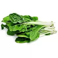 Kliknite za detalje - Seme za povrće - Blitva srebrnolisna - Beta vulgaris ssp. vulgaris var. cicla 483