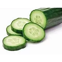 Kliknite za detalje - Seme za Krastavac dugi zeleni Marketer - Cucumis sativus L. 621
