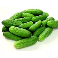 Kliknite za detalje - Seme za Kornišone - pariski kornišon - Cucumis sativus L. 637