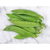 Kliknite za detalje - Seme za Grašak kelvedon - Pisum sativum L. 100g