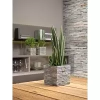 Kliknite za detalje - Soendgen keramička saksija Latina 16 x 16cm Kamen SIVA
