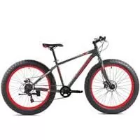 Kliknite za detalje - Bicikl Capriolo Fat Boy 26 917201-19