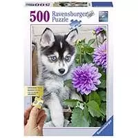 Kliknite za detalje - Puzle 500 delova - Haski štene- Ravensburger 13682