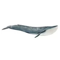 Kliknite za detalje - Schleich Figurice Divlje životinje - Plavi kit 14806