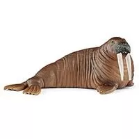 Kliknite za detalje - Schleich Figure Divlje životinje - Morž 14803