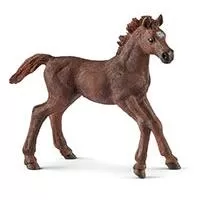 Kliknite za detalje - Schleich figurice - Konji - Engleski rasni konj - ždrebe 13857
