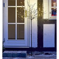 Kliknite za detalje - LED Svetleće drvo Sandro V180cm 180LED