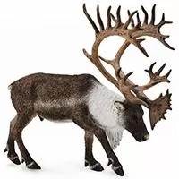 Kliknite za detalje - CollectA Figure Divlje životinje - Severnoamerički karibu CT88709