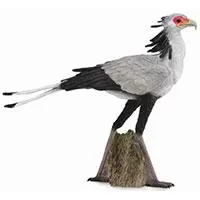 Kliknite za detalje - CollectA Figurice Divlje životinje - Ptica sekretar CT88796