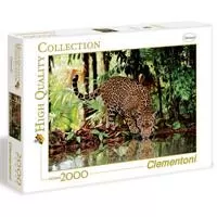 Kliknite za detalje - Clementoni Puzzle 2000 delova Leopard 32537