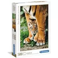 Kliknite za detalje - Clementoni Puzzle 500 delova Bengalski tigar 35046