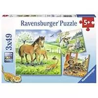 Kliknite za detalje - Ravensburger Puzle 3x49 Domaće životinje sa mladuncima 08029