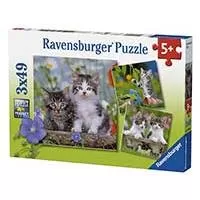 Kliknite za detalje - Ravensburger Puzle 3x49 Mačići 08046