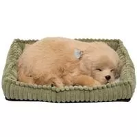 Kliknite za detalje - Plišani pas koji spava Sa pokretima disanja PP-Golden-Retriever