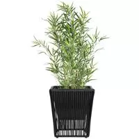 Kliknite za detalje - Saksija Vaersk Nero