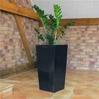 Kliknite za detalje - Prosperplast Saksija za cveće sa uloškom Urbi Square 50cm Antracit