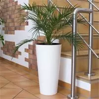 Kliknite za detalje - Prosperplast Saksija za cveće Tubus Slim White 40x76 DTUS400-S449
