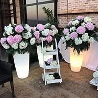 Kliknite za detalje - New Garden Bambu LED Svetleća Saksija