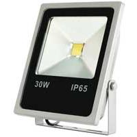 LED reflektor 30W IP65 FL30LED