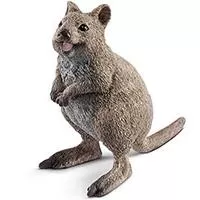 Kliknite za detalje - Schleich Figure Divlje životinje - Kvoka 14823