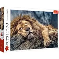 Kliknite za detalje - Trefl puzzle Uspavani lav 1000 komada