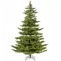Kliknite za detalje - Realistična novogodišnja jelka visine 180 cm Koreana Spruce 68.9981