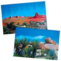 Pozadina za terarijum dupla 150x60cm Trixie 76320
