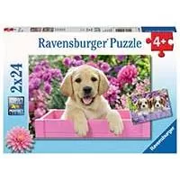 Kliknite za detalje - Puzzle 2x24 dela Moji drugari Ravensburger 05029