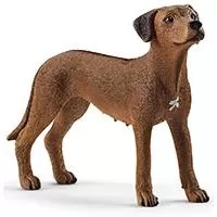 Kliknite za detalje - Schleich Figure Domaće životinje - Pas Rodezijski ridžbek 13895