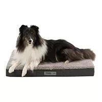 Kliknite za detalje - Trixie Ortopedski jastuk za pse Bendson Vital 140cm 36409