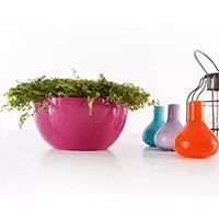 Kliknite za detalje - Čeri plus saksija 18cm roze