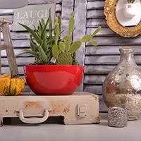 Kliknite za detalje - Čeri saksija 24cm crvena